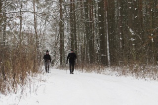 Lasy powiatu białogardzkiego w połowie stycznia 2021