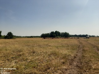 Konkurs fotograficzny "Oblicza Natury 2000"